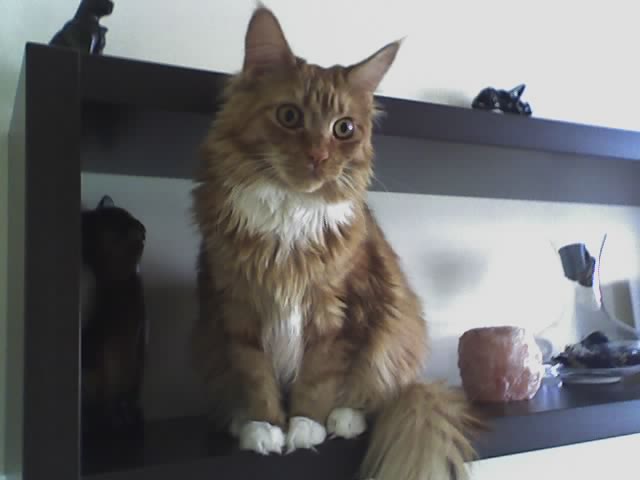 16-05-08_1226.jpg